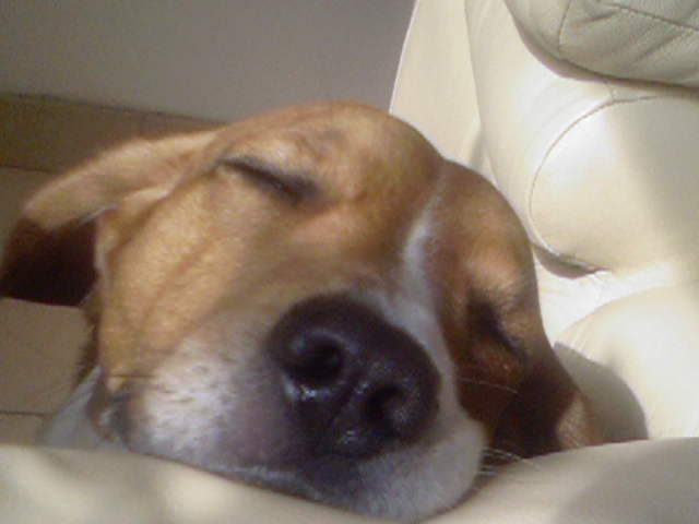 Photo-0003.jpg
